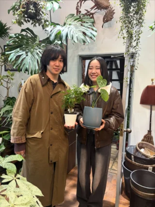 ディフェンバキア・トロピックスノー | Massimo Botanico